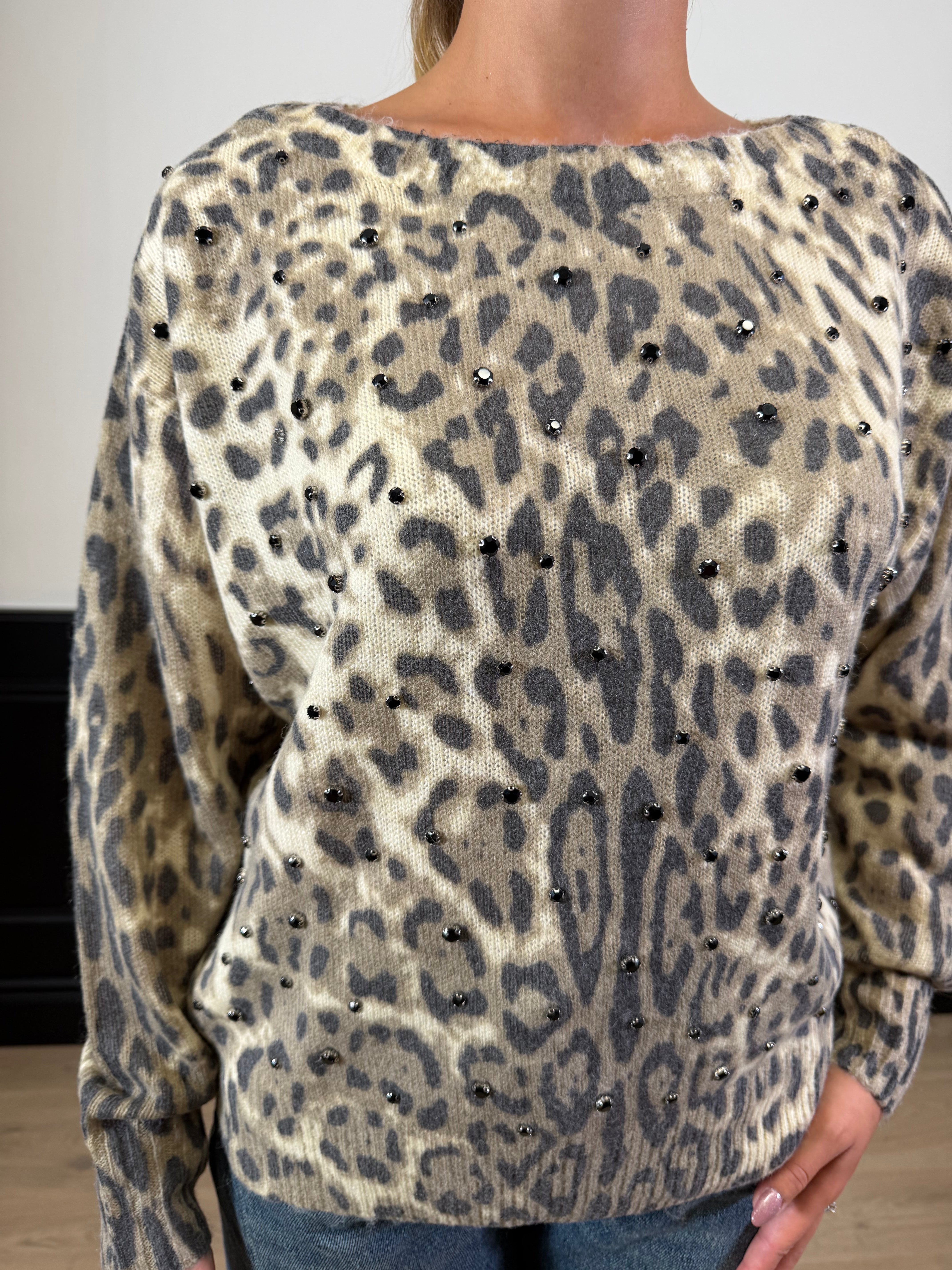 Pull fantasia animalier con dettaglio castoni
