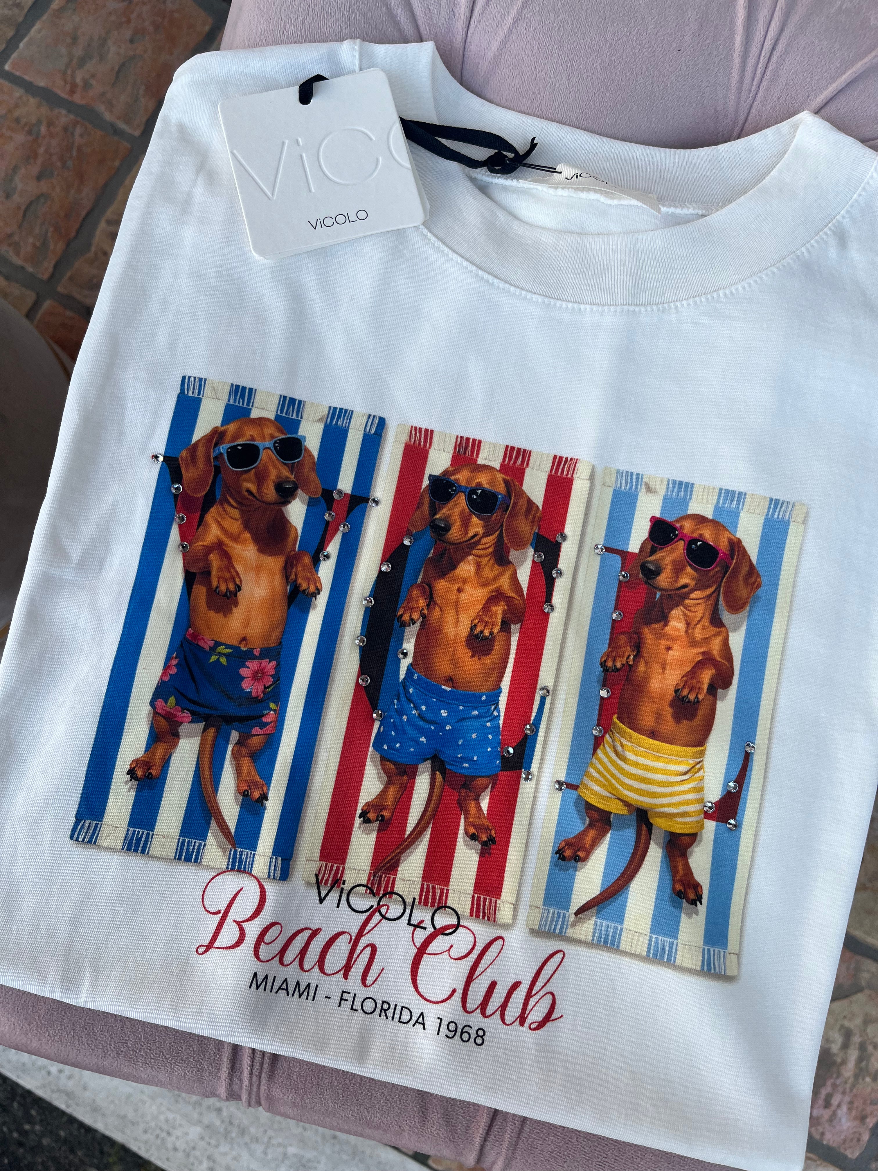 T-shirt over bassotti