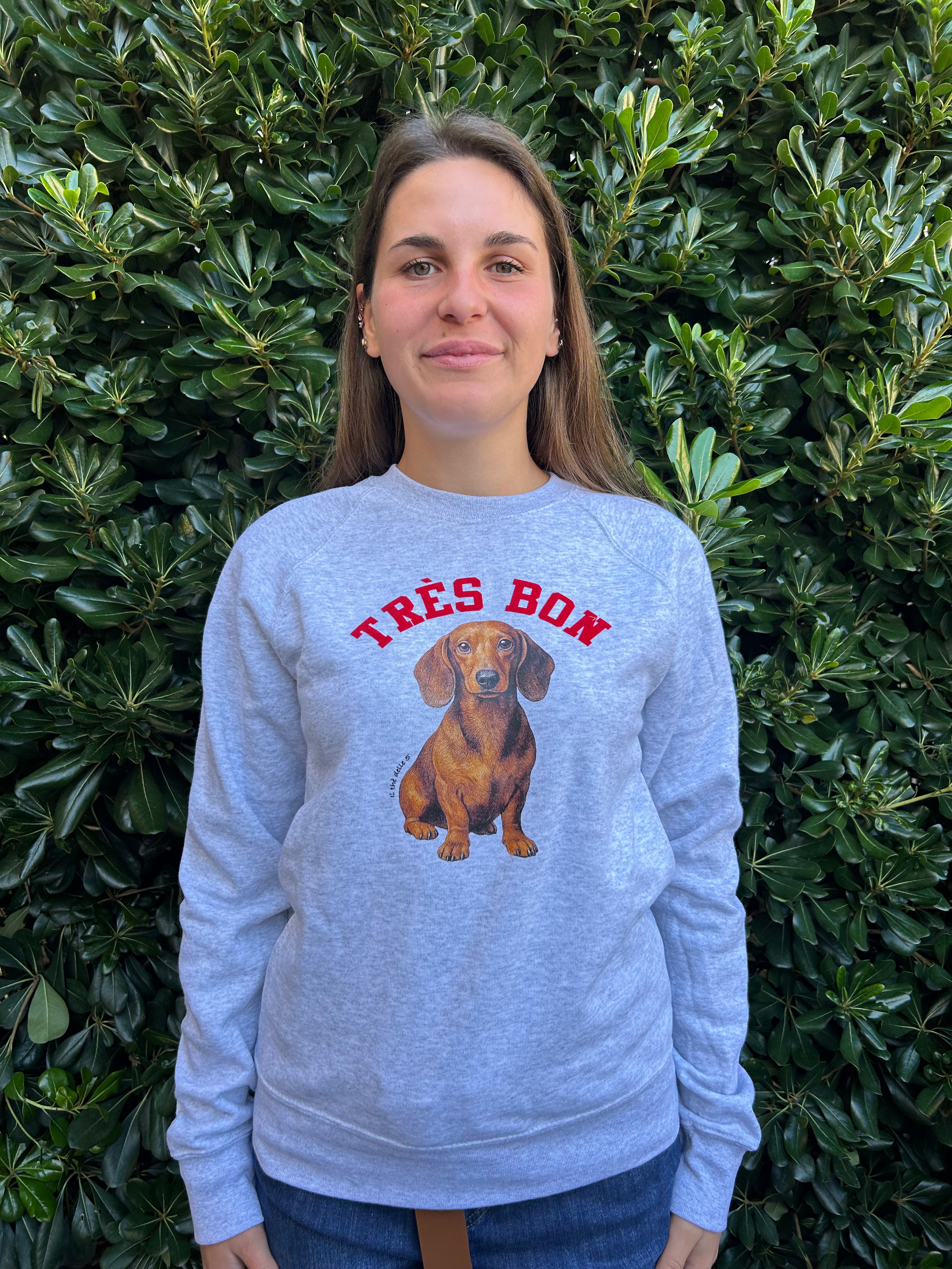 Felpa bassotto grigia