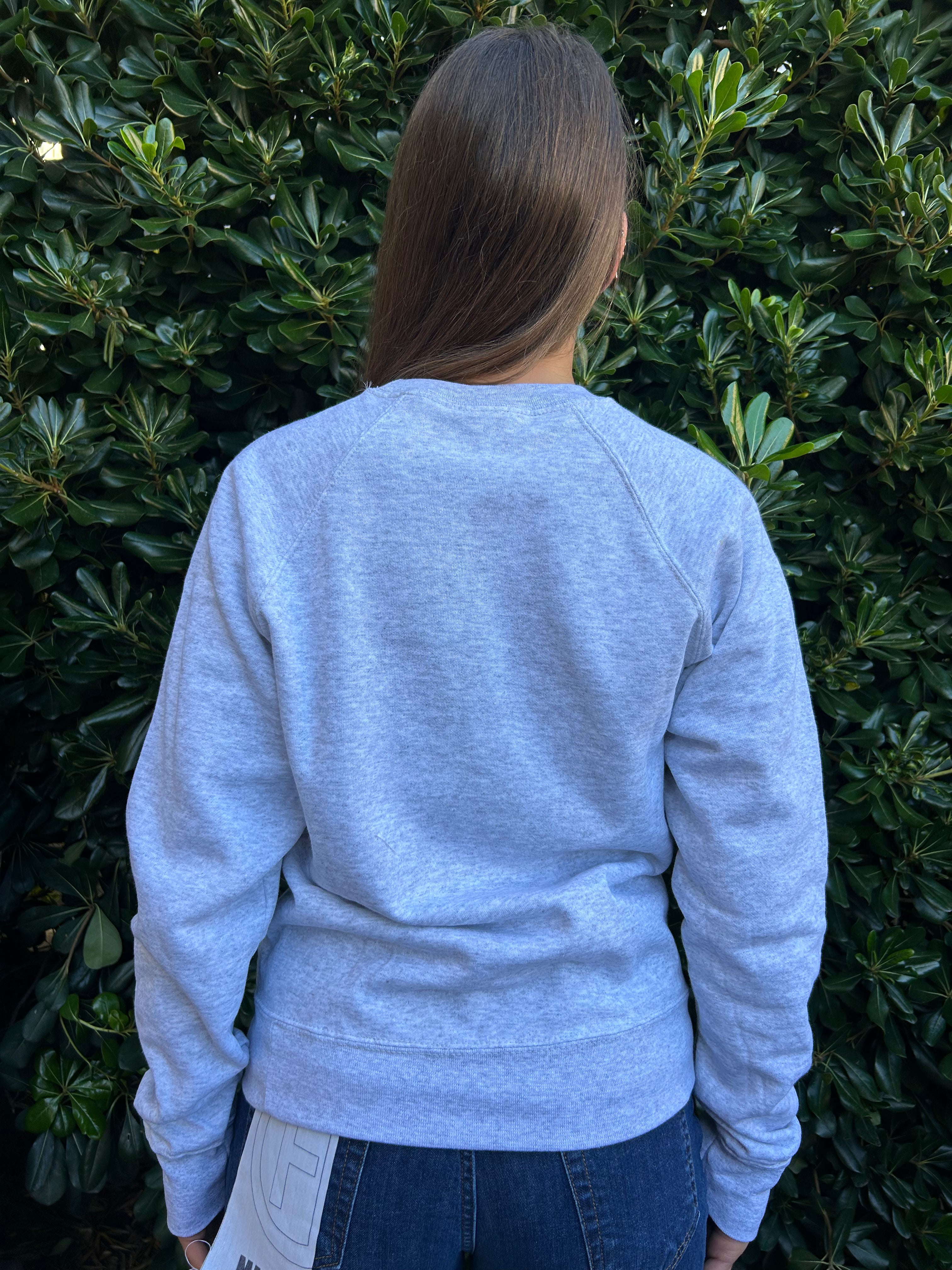 Felpa bassotto grigia