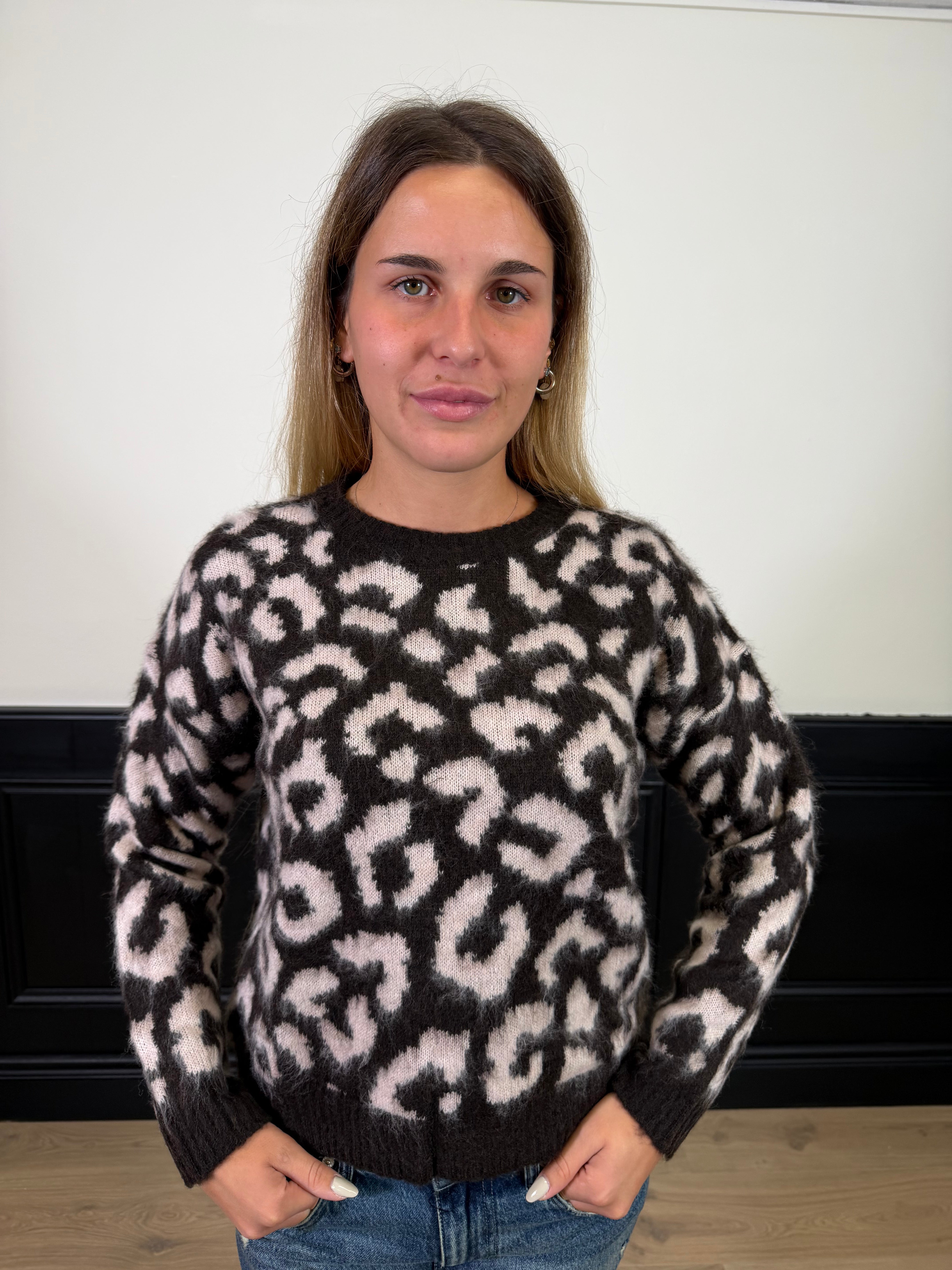 Pull fantasia animalier